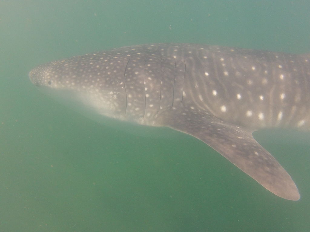 580969f9-aaef-4adc-acb9-80ed9d39f64a