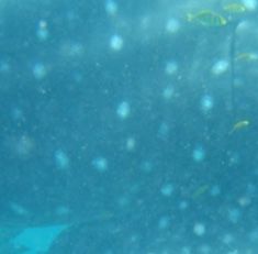 8bc90953-7f84-4f32-8d69-45f5cacd343c