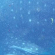 8bc90953-7f84-4f32-8d69-45f5cacd343c