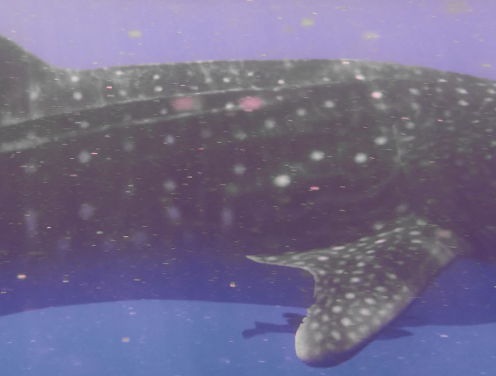 351e51c8-391b-4312-9845-5f6e70037b6c