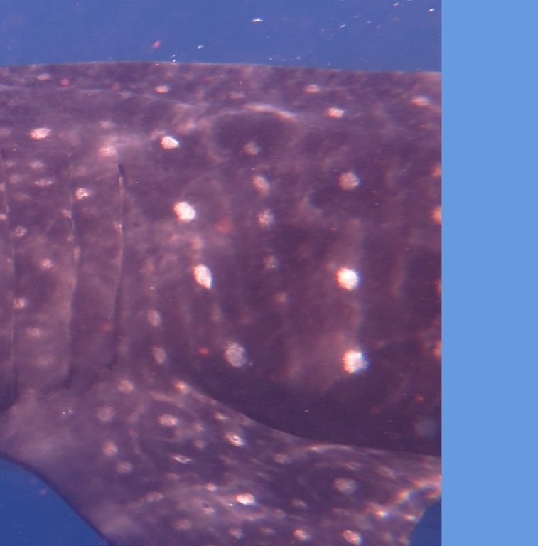 24ce5bd0-92f8-4f95-82db-59ca76719a19