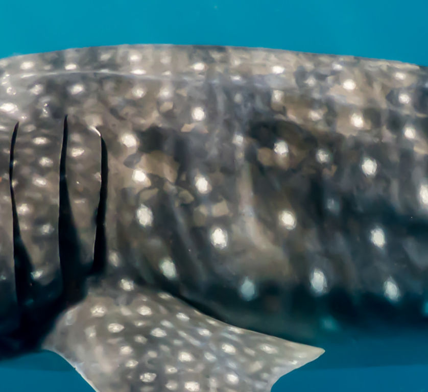 5dd76648-7d75-45fb-9bd4-db2bbf385175