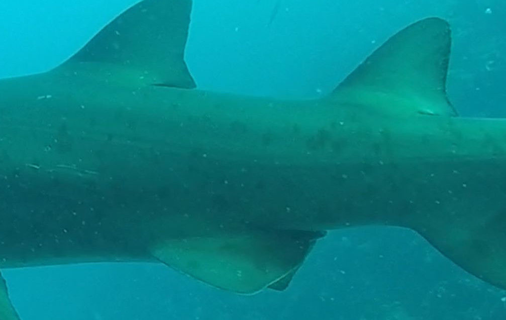 f173363b-5388-4ec7-94be-c28cbeb6397f