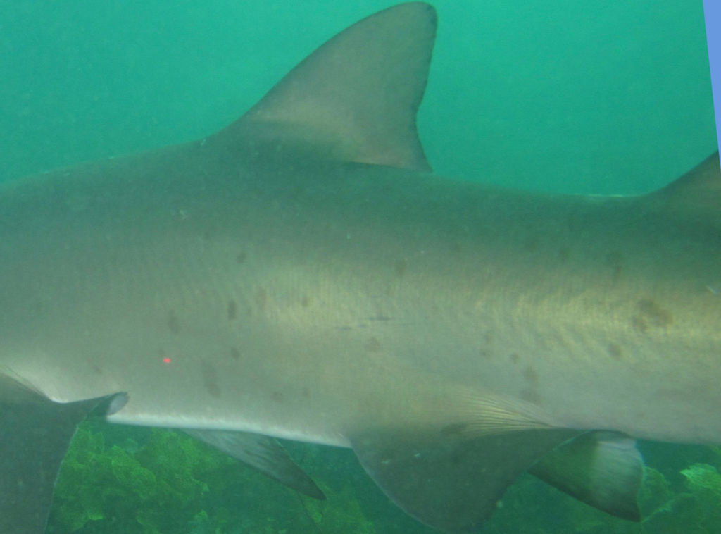 20c771ba-6ae4-41b0-a745-3d98d5e3be37