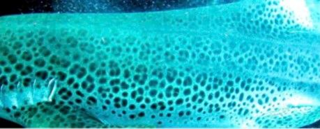 63a01d2e-4dc7-4832-84ad-b4e8831af023