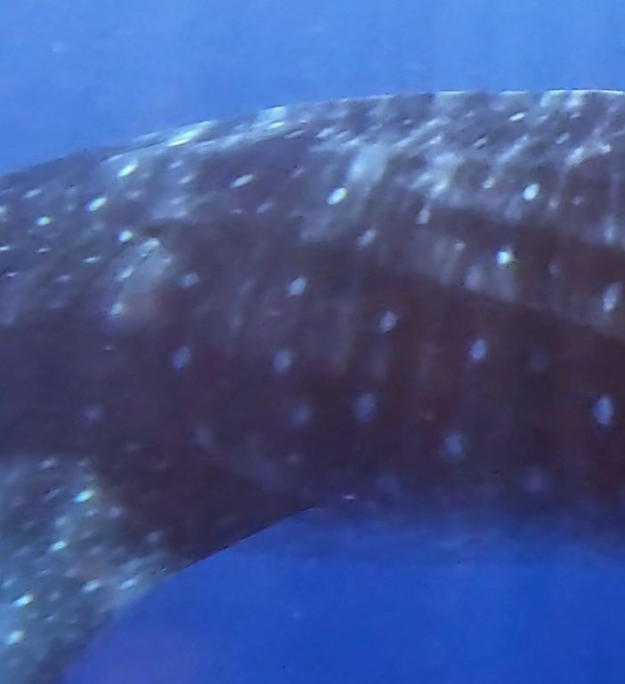 31946053-99b8-439c-84b3-4cf97d80b88e