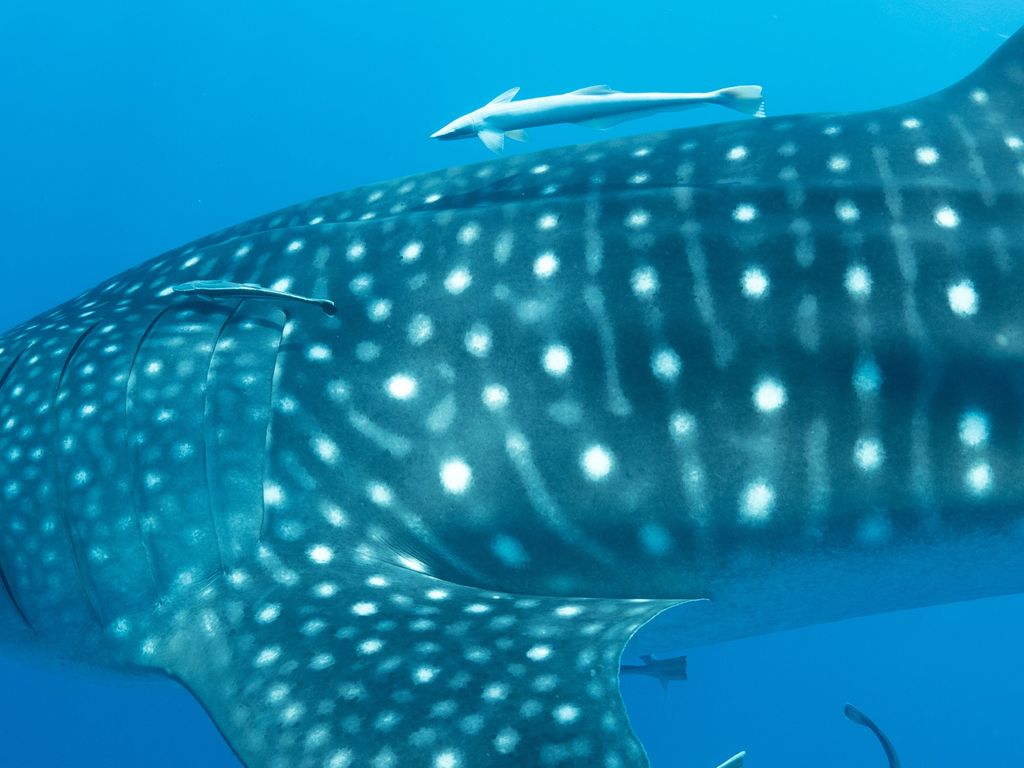 98b26685-9154-49ca-9aaf-d938d9d7fcec