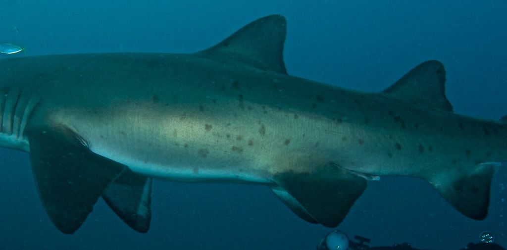 b4372a64-0394-46d6-ac9f-8bd25812582a