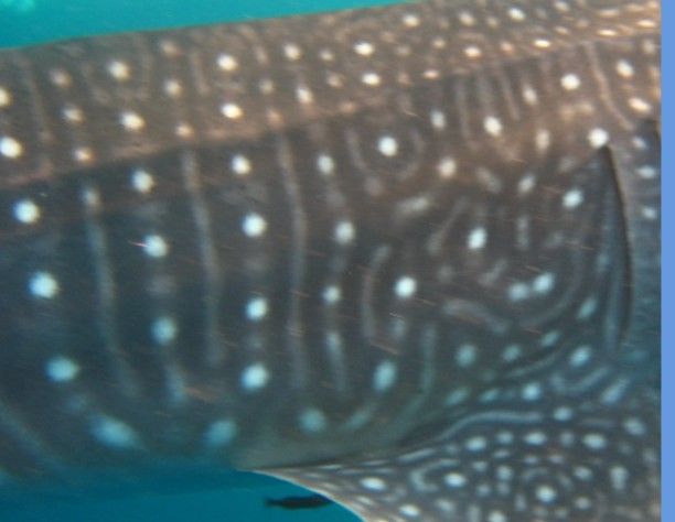 495c501b-389f-4c62-9f2b-023ee8e68a21