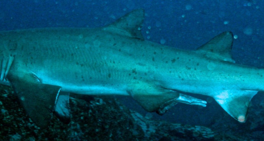 9e304010-448f-491e-be3f-ee242bc1ef97