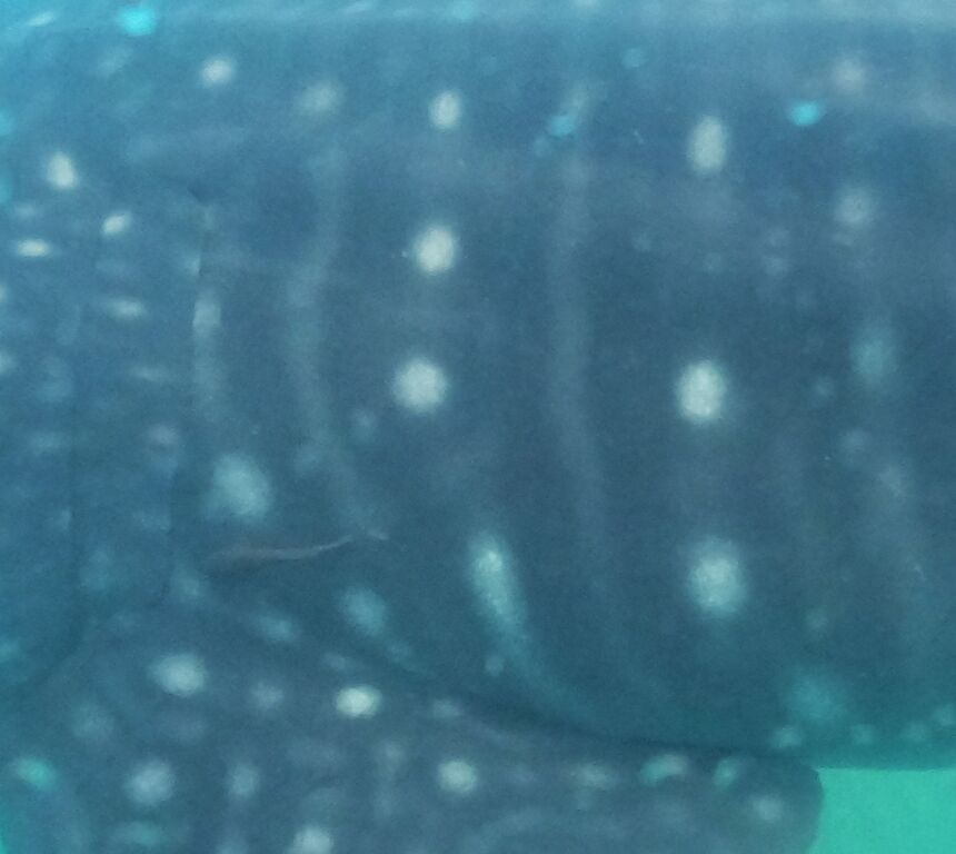 e1310ec6-d5b3-419c-a8ab-7dd401bddc63