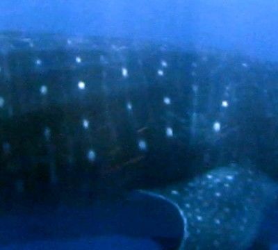 fcdd56ef-fbc9-4d86-aabe-21123c22a921