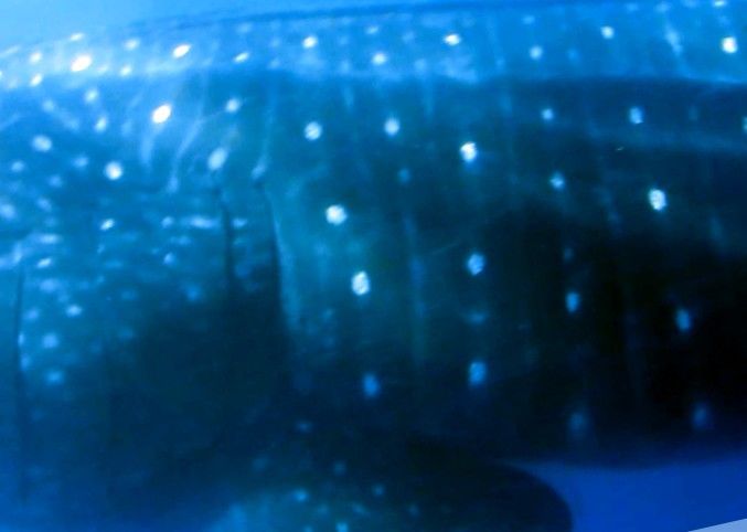 fcdd56ef-fbc9-4d86-aabe-21123c22a921