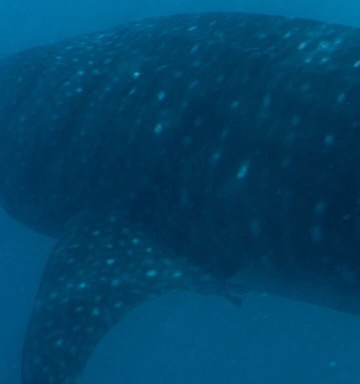 29bceb0b-f5d4-4078-be17-0724535cf84f