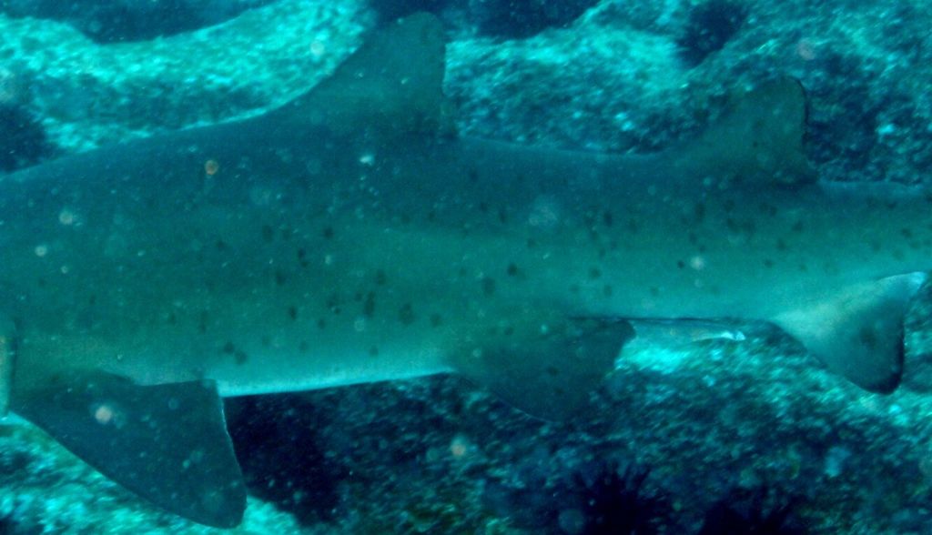 63a3615b-13b1-4483-9960-3b8786ff907a