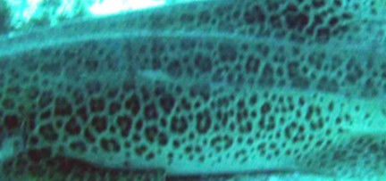 2749e10b-28e8-4b2b-a3d7-5524d5ba3be2