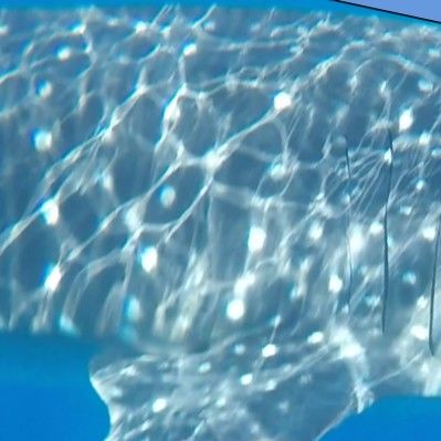 7aacc72d-e31c-4322-b0ef-5922f7fd3c23