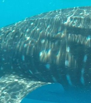 7aacc72d-e31c-4322-b0ef-5922f7fd3c23