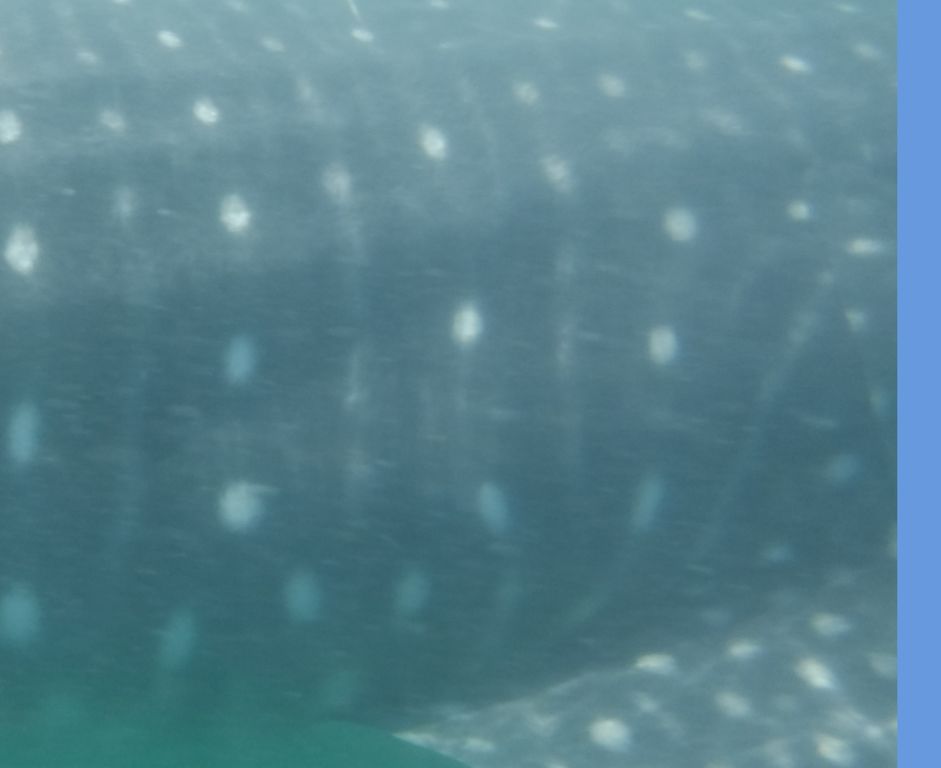 e0d32e37-e81b-4f16-ad0a-2f3a40780321