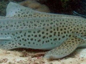 a21b2a10-7514-4627-af11-7cba2a544e35