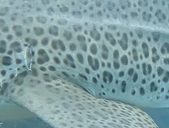 aed0a235-f7b4-48f1-85ee-11bbc3ea6c73