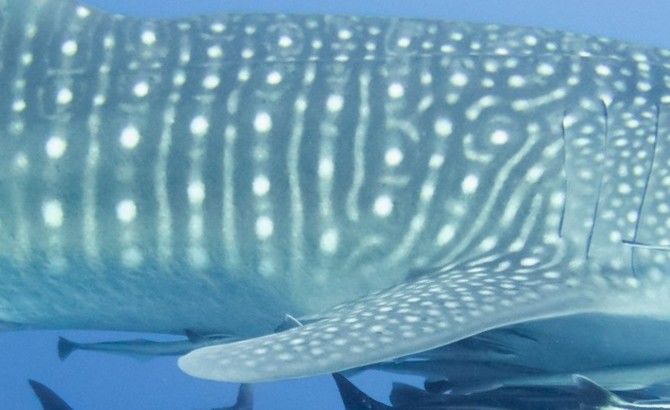 7fca4492-b30c-4ac8-a372-41a99d251b72