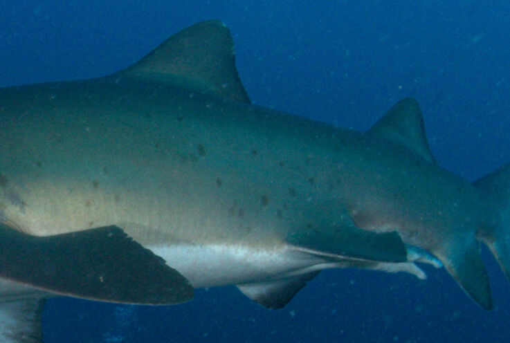 070977c5-abf4-4276-a23d-451a2fc95bd6