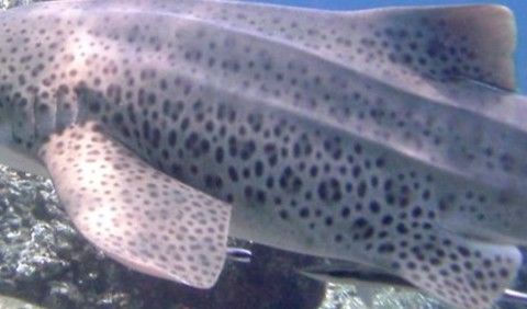 2519aa8c-1d8c-4351-bc5f-8182862875cd