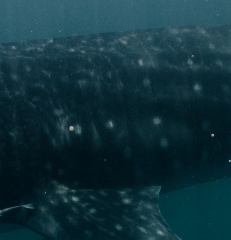 60a992aa-ead1-4dcd-85d9-6a72b1549bfb