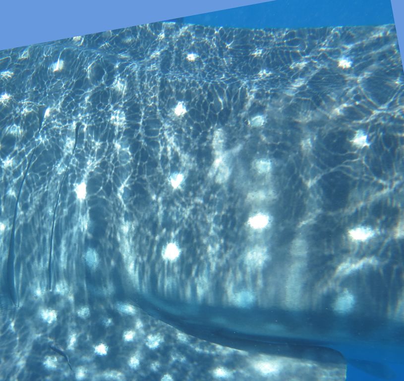 42d8d4e1-c7d2-424f-80a0-14b4d1036229