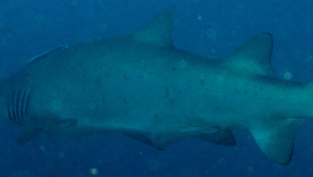 df1339c7-cdfa-49d1-b10e-080234d933c0