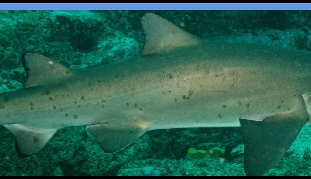 e321c7a8-a075-4b16-9361-2de7a908dc5d