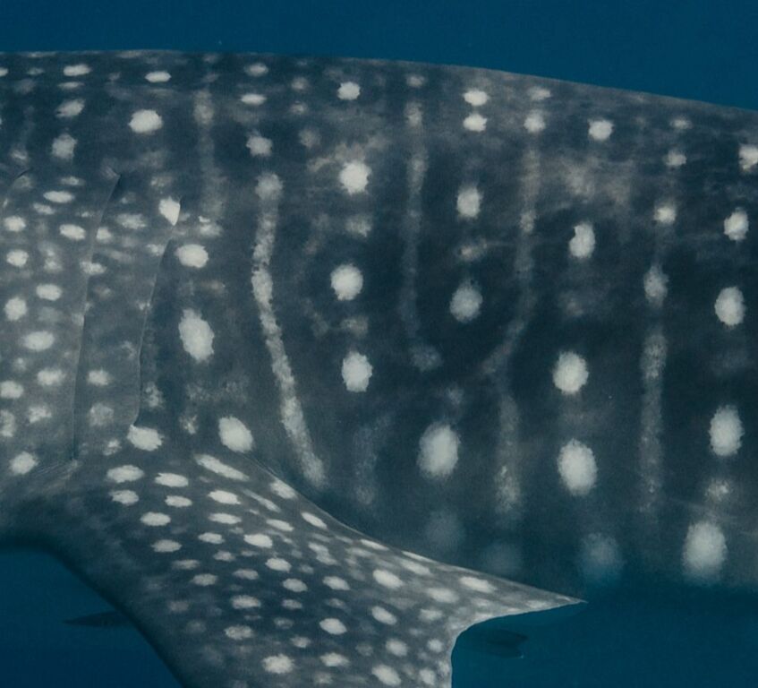 f07cad4f-3f39-4e03-a535-0749b70c2fec