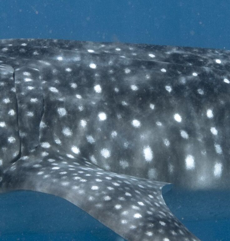 40a8cde8-d151-484f-aab3-53b966249115