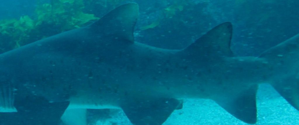 404c0137-ed1c-4fc9-ae84-8ef1ebfcfb3c