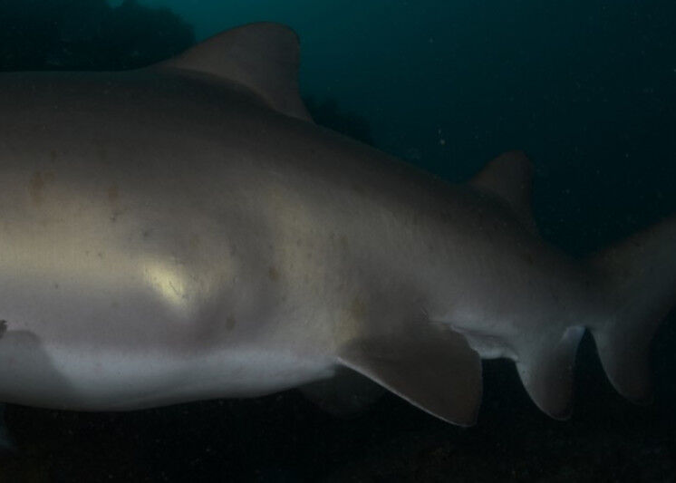 1e640785-6ce6-4ea2-837c-7dc87ed9f21e