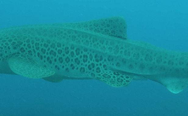 17151356-a4e7-4731-9fd0-2fc882367783