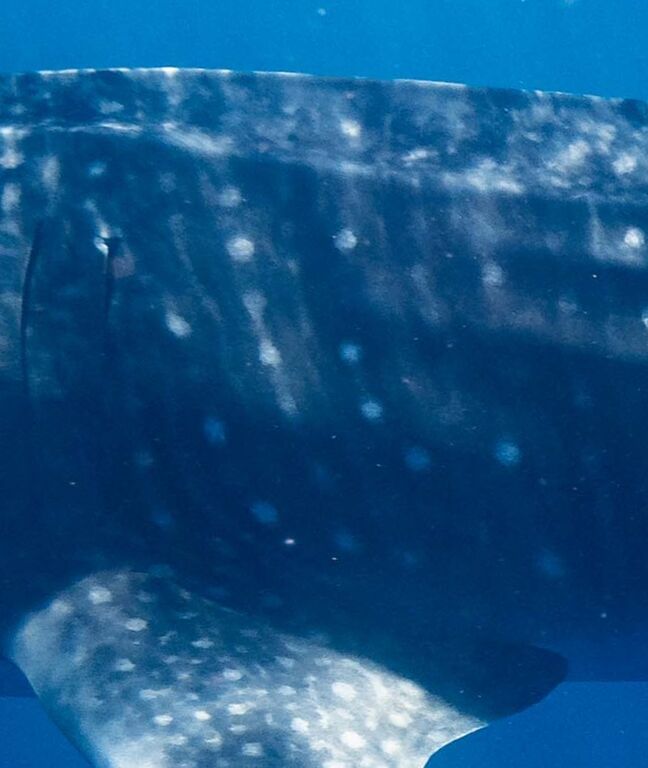 7430b944-dbcb-424f-bb3d-49f5a2bdb34f