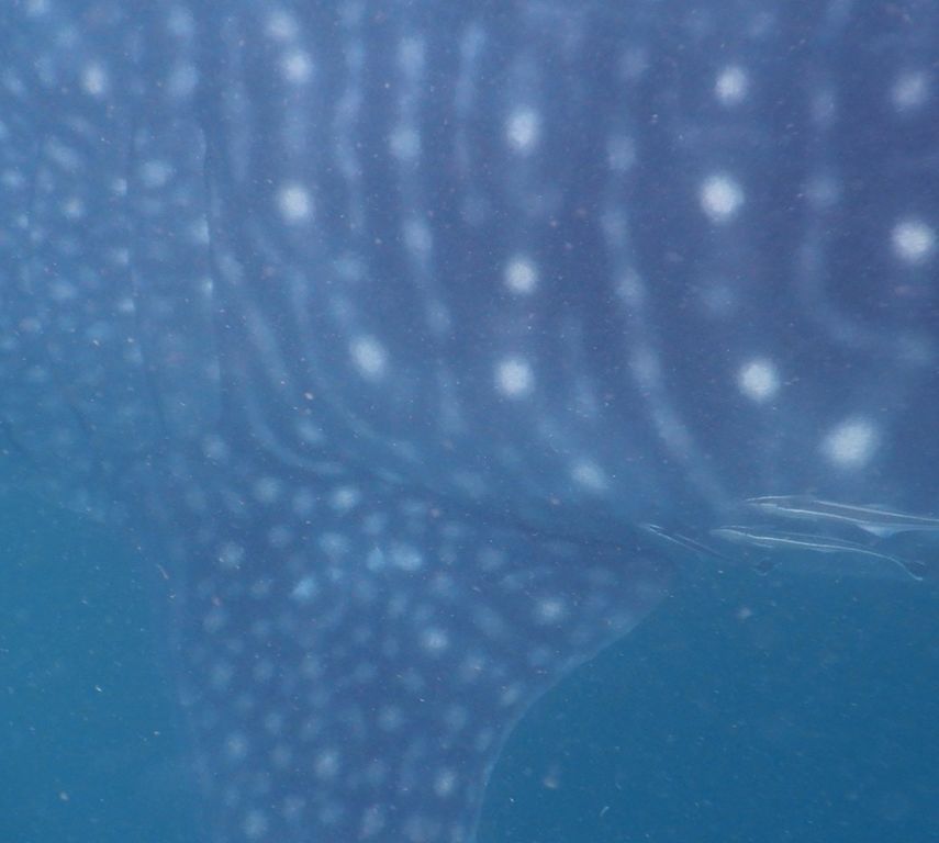 fe64e433-8b7a-4730-9a6e-c44d152ea223