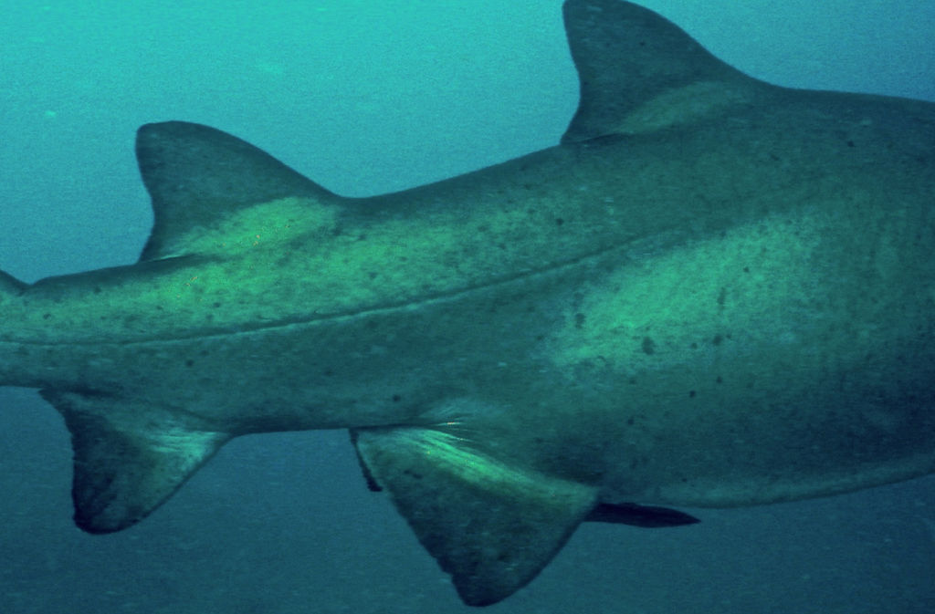 1a4f63b9-cf67-40a9-b413-6df1aebd7b8e