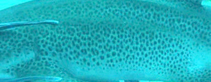 16d240cc-d8d9-48a4-b167-695fe65ce7e8