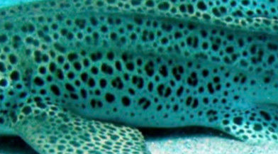 06e18980-f7f0-4b6d-9a3a-bd886e7a7ba6