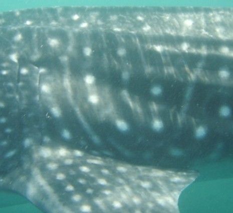 c1e1738d-16e0-46e2-917c-6111e3e498c1