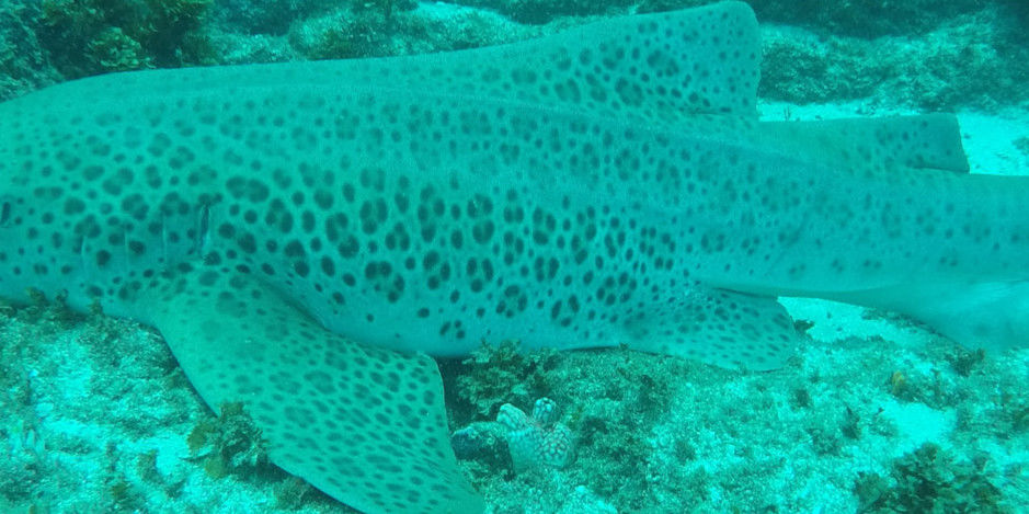 e1aef6cb-d23c-4f57-8cd7-3a56fa6e9dd8