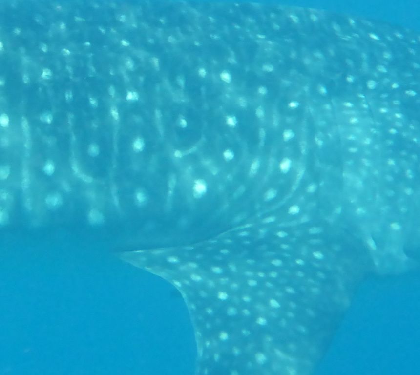 8852b74e-9f5f-4033-8eb5-cf2bff735c27