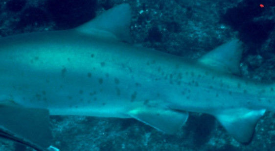 eb097c98-6799-4e38-8cb9-2e364e5df88f