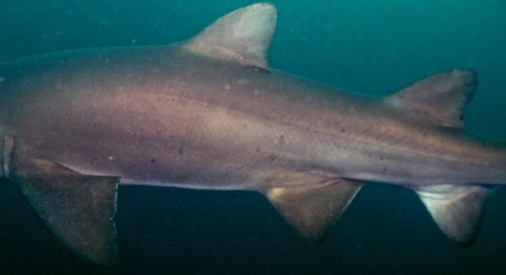 d6c23ff9-77f5-4a03-af3f-bb16db13dbad