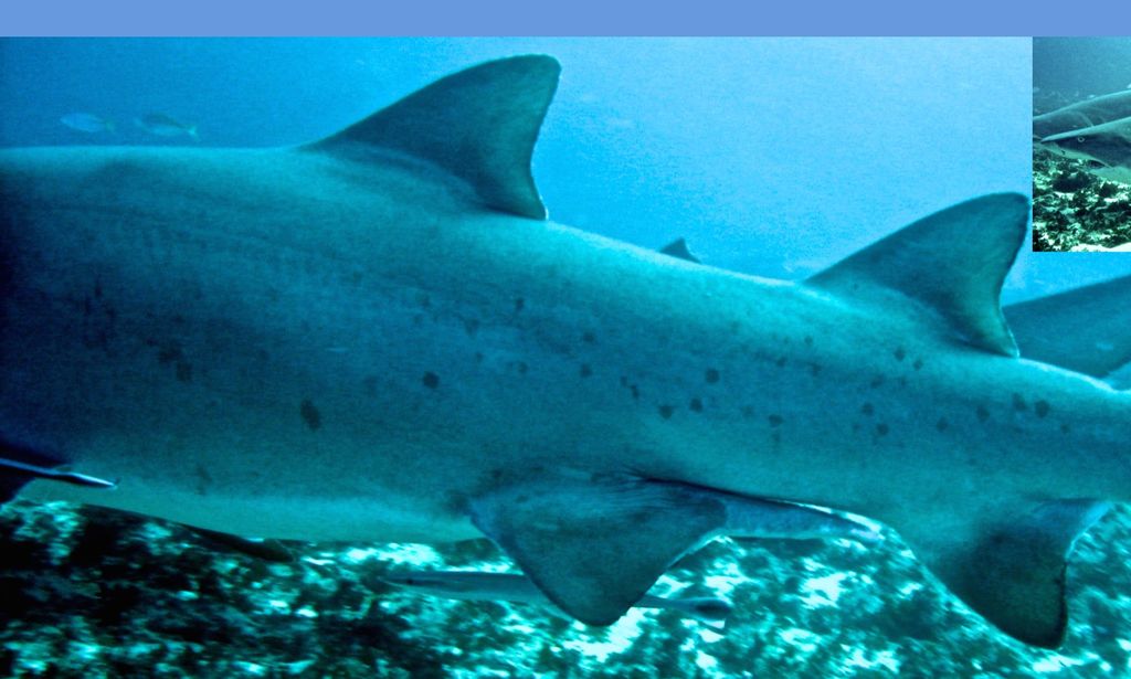 2bdf2a75-2563-495a-8f8a-a057d96112c6