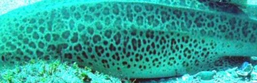 127834c3-5135-4ef0-b743-83840c69b8cc