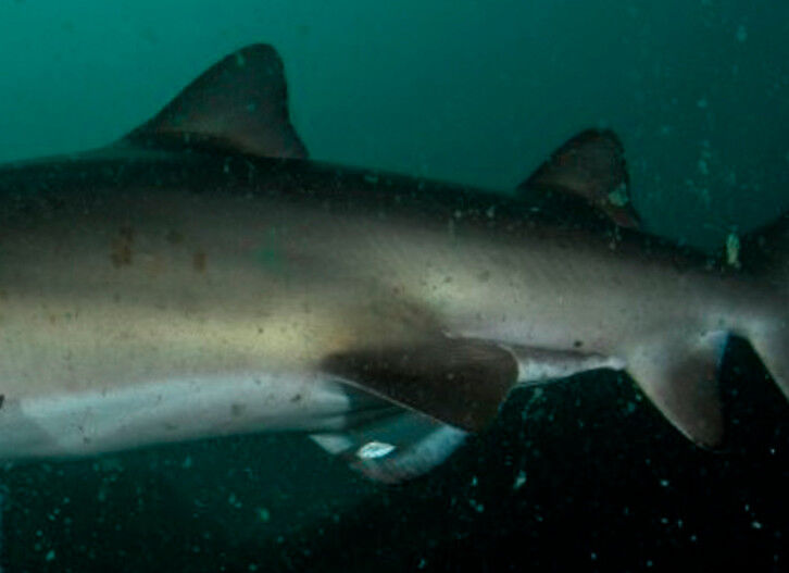 c7261ddf-4002-4672-ac04-9b8190a7dde6